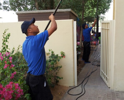 Palm Window Cleaning